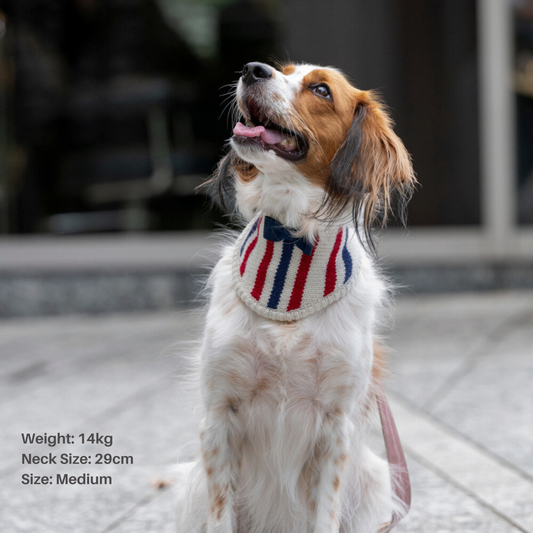 KNIT BANDANA(Tricolore)
