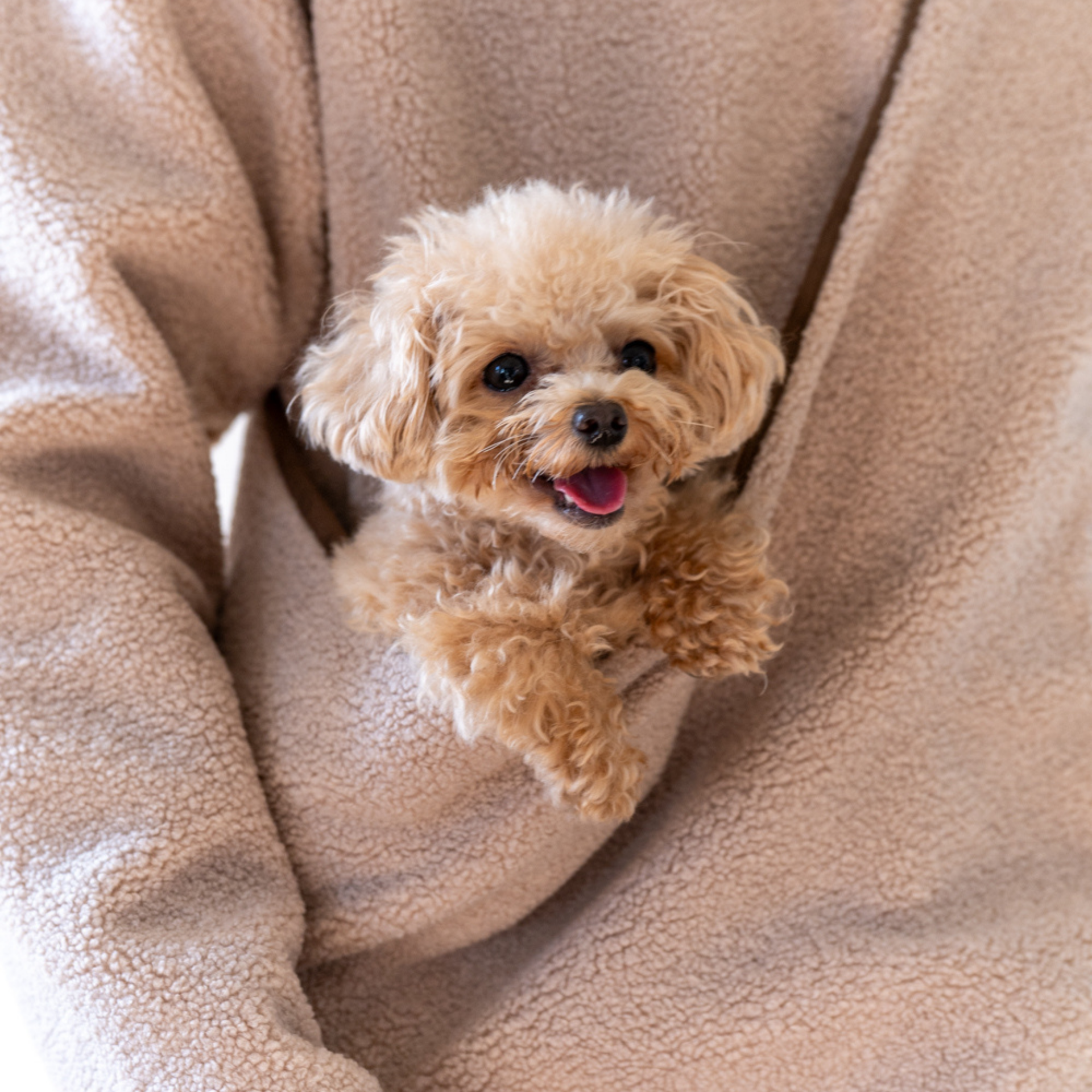 FLUFFY HALF ZIP – SOY TEN APPAREL