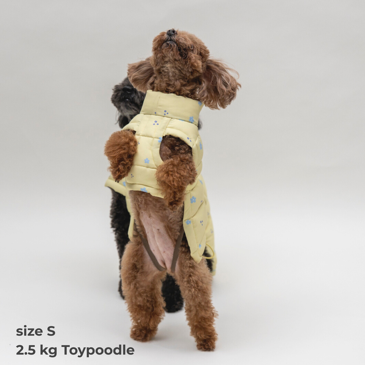 Puffer Vest（Yellow Brown)　