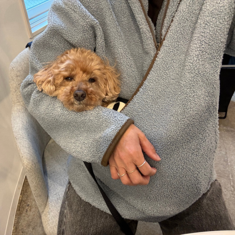 FLUFFY HALF ZIP