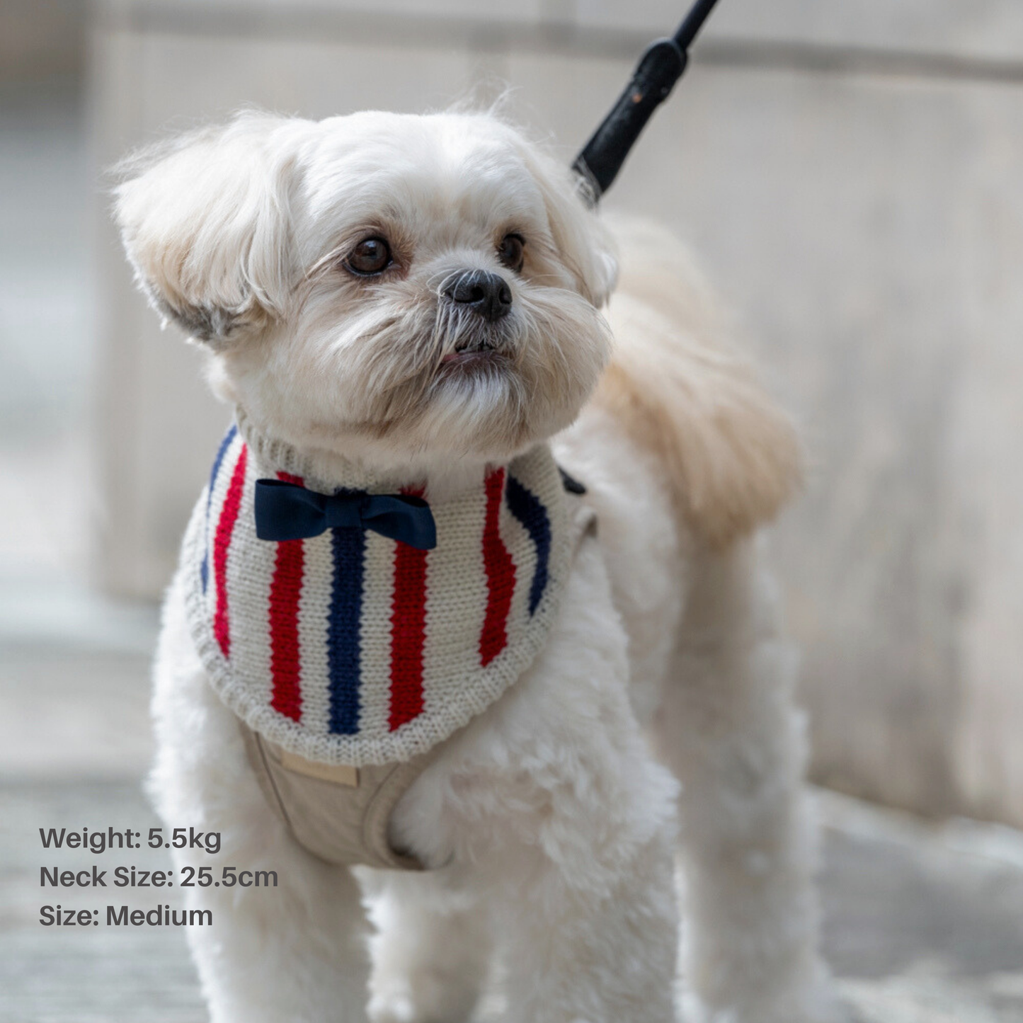 KNIT BANDANA（Tricolore）