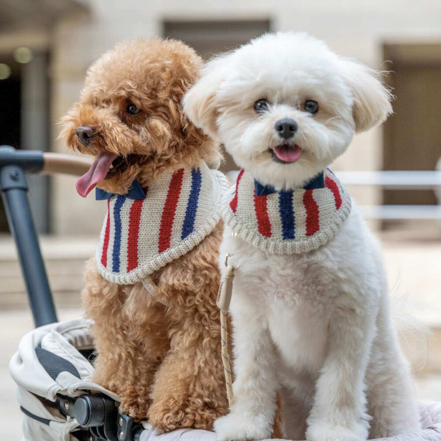 KNIT BANDANA（Tricolore）