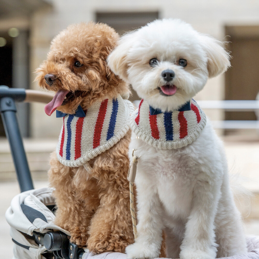 KNIT BANDANA（Tricolore）
